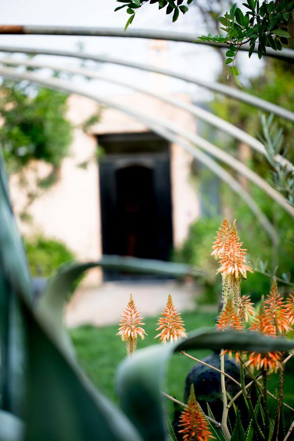 All Green House Marrakesh Exterior photo