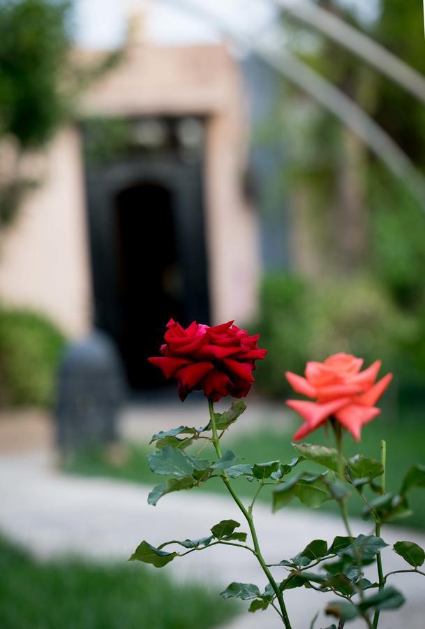All Green House Marrakesh Exterior photo