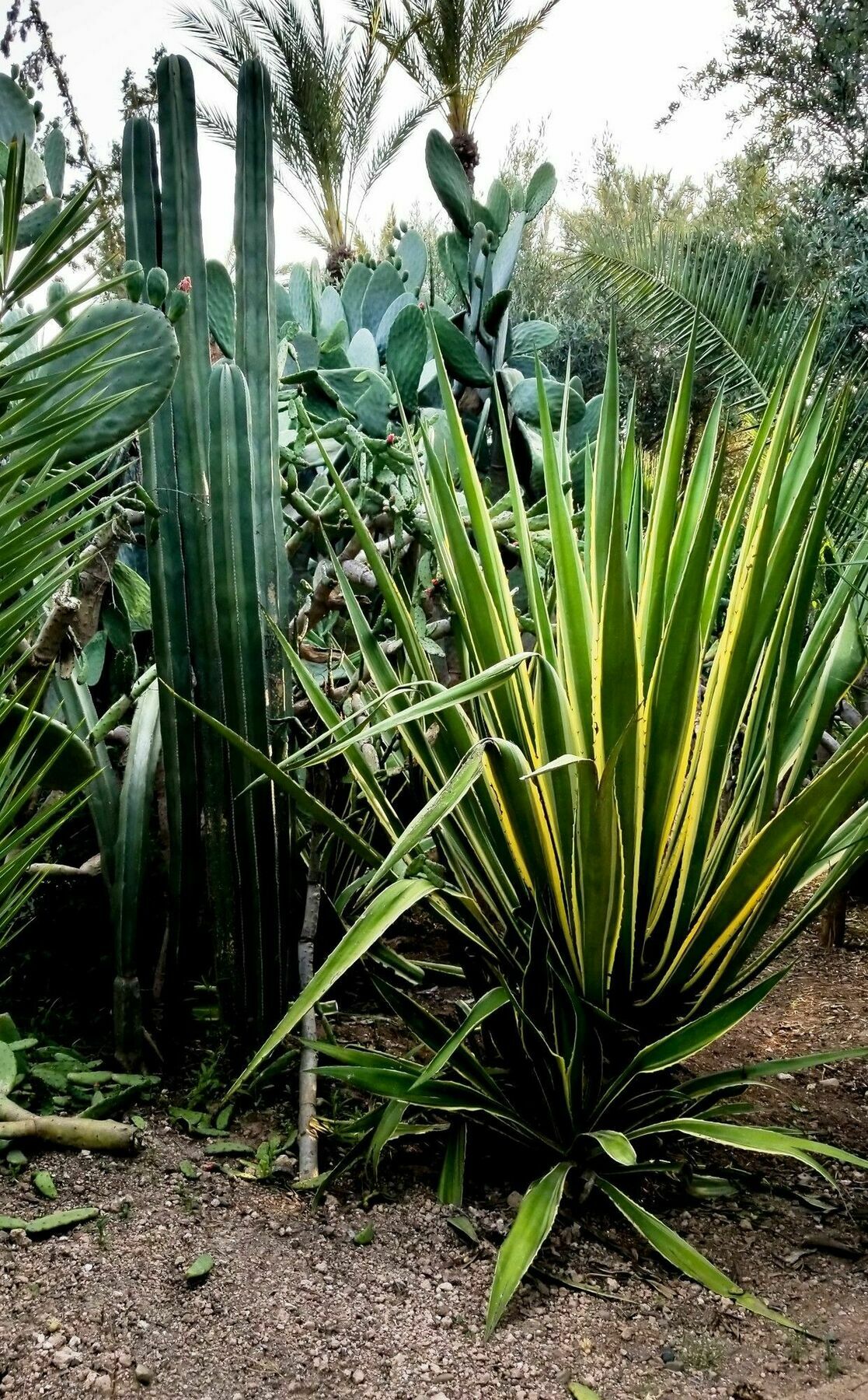 All Green House Marrakesh Exterior photo